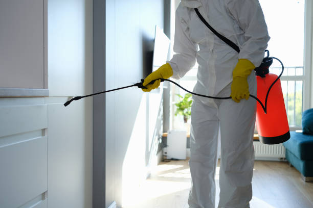 Best Emergency Mold Remediation in Gholson, TX